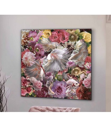 Fotografia impressa Siam Fighting Fish